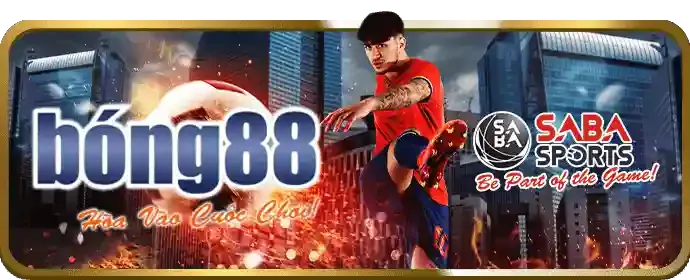 Ưu đãi giải đấu lớn